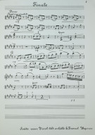 Notenbeispiel / Music example Viola 5