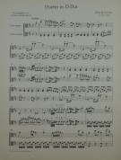 Notenbeispiel / Music example Viola