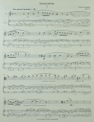 Notenbeispiel / Score example